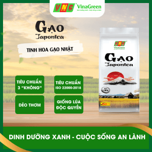 VinaGreen Japonica Rice